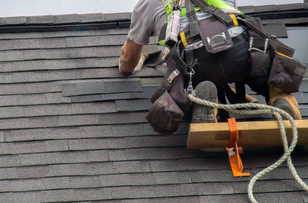 Roof Gutter Cleaning in Aubrey, TX