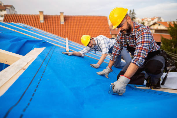 Roof Gutter Cleaning in Aubrey, TX